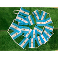 Guirlande de Drapeaux Argentine