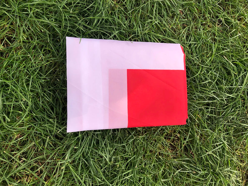 Drapeau Suisse
