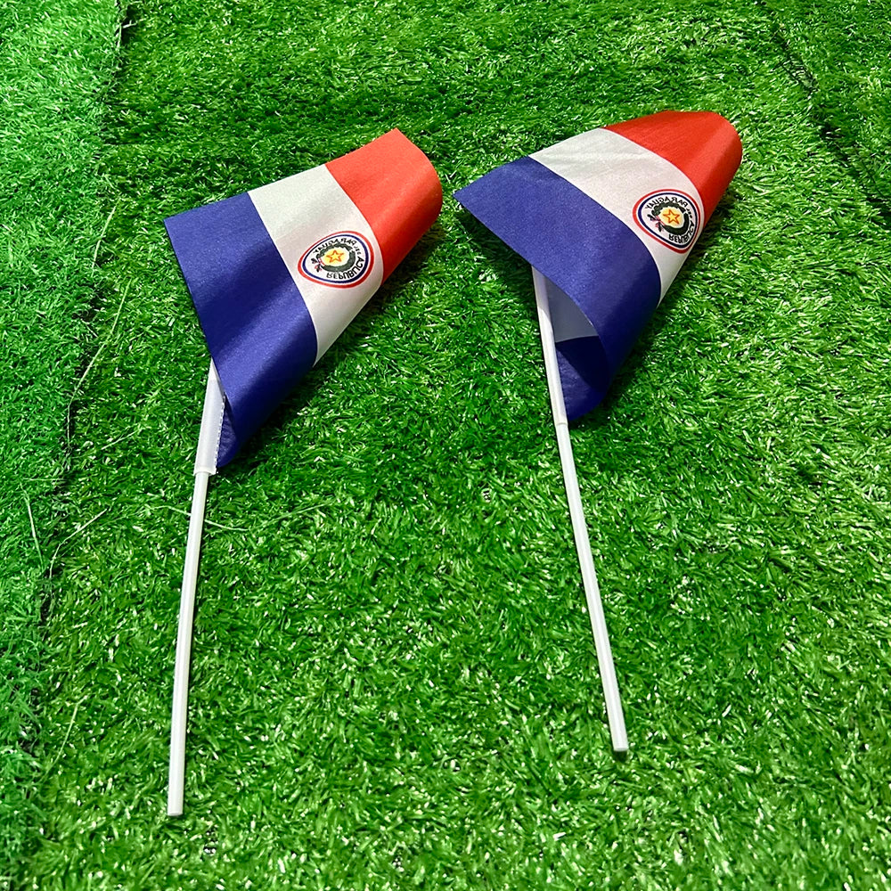 Mini Drapeau Paraguay